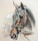 Peruan three times velka pardubicka winner(edition 100)£35
190x175mm